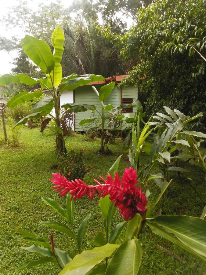 Selva Linda Lodge Vacation Rentals Quepos Exterior foto