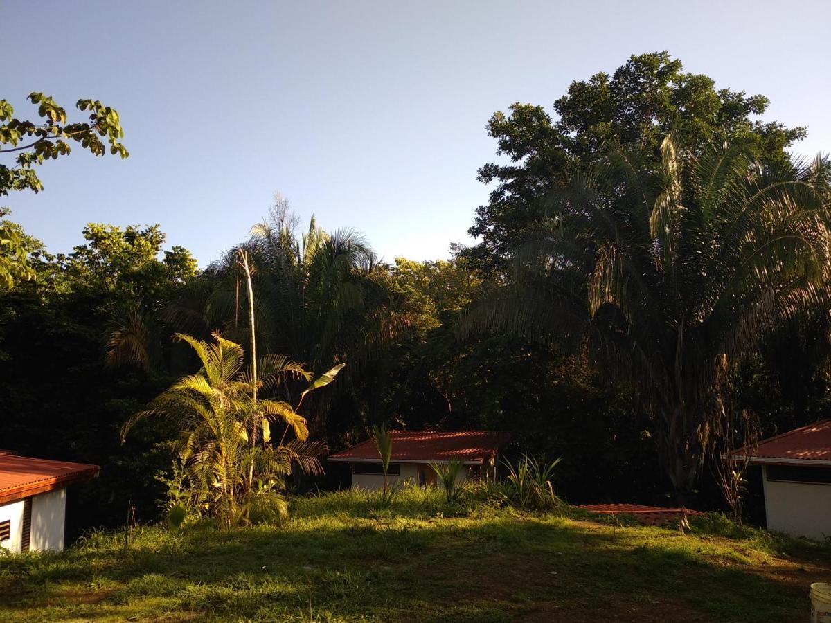 Selva Linda Lodge Vacation Rentals Quepos Exterior foto